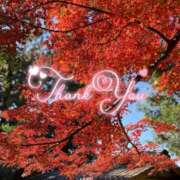 ヒメ日記 2025/12/16 21:56 投稿 みわ(昭和39年生まれ) 熟年カップル名古屋～生電話からの営み～