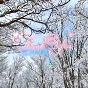 ヒメ日記 2026/02/19 22:08 投稿 みわ(昭和39年生まれ) 熟年カップル名古屋～生電話からの営み～