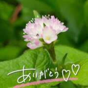 ヒメ日記 2026/03/11 22:16 投稿 みわ(昭和39年生まれ) 熟年カップル名古屋～生電話からの営み～