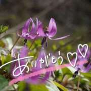 ヒメ日記 2026/03/16 22:10 投稿 みわ(昭和39年生まれ) 熟年カップル名古屋～生電話からの営み～