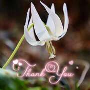 ヒメ日記 2026/04/06 22:28 投稿 みわ(昭和39年生まれ) 熟年カップル名古屋～生電話からの営み～