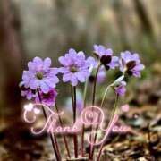 ヒメ日記 2026/04/10 21:12 投稿 みわ(昭和39年生まれ) 熟年カップル名古屋～生電話からの営み～