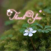 ヒメ日記 2026/04/14 22:51 投稿 みわ(昭和39年生まれ) 熟年カップル名古屋～生電話からの営み～