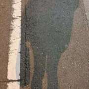 ヒメ日記 2026/01/29 11:45 投稿 陳宮 Cawaiiハイ！スクールリターンズ