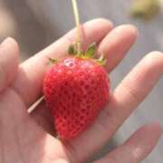 ヒメ日記 2026/03/04 06:44 投稿 陳宮 Cawaiiハイ！スクールリターンズ