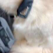 ヒメ日記 2026/03/07 07:57 投稿 陳宮 Cawaiiハイ！スクールリターンズ