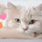 ヒメ日記 2026/03/15 11:45 投稿 陳宮 Cawaiiハイ！スクールリターンズ