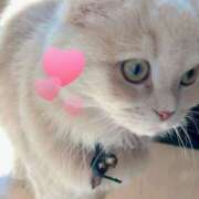 ヒメ日記 2026/03/18 12:47 投稿 陳宮 Cawaiiハイ！スクールリターンズ