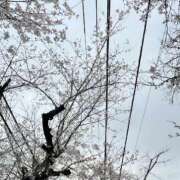 ヒメ日記 2026/03/28 10:47 投稿 陳宮 Cawaiiハイ！スクールリターンズ