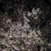 ヒメ日記 2026/04/04 08:45 投稿 陳宮 Cawaiiハイ！スクールリターンズ