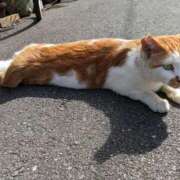 ヒメ日記 2025/10/18 22:10 投稿 かすみ 成田人妻花壇