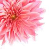 ヒメ日記 2024/12/13 22:06 投稿 さえ 奥様の実話 梅田店