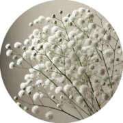 ヒメ日記 2025/01/11 01:07 投稿 さえ 奥様の実話 梅田店