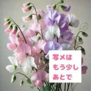 ヒメ日記 2025/03/07 21:41 投稿 さえ 奥様の実話 梅田店