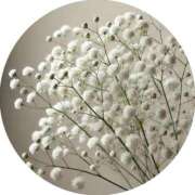 ヒメ日記 2025/04/03 08:02 投稿 さえ 奥様の実話 梅田店