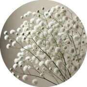 ヒメ日記 2025/04/20 10:56 投稿 さえ 奥様の実話 梅田店