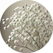 ヒメ日記 2025/07/17 12:16 投稿 さえ 奥様の実話 梅田店