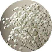 ヒメ日記 2025/10/24 09:31 投稿 さえ 奥様の実話 梅田店