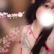 ヒメ日記 2025/04/23 08:01 投稿 ろあ 丸妻 新横浜店