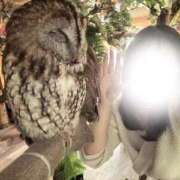 ヒメ日記 2025/05/25 23:09 投稿 ろあ 丸妻 新横浜店