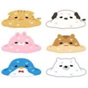 ヒメ日記 2025/07/17 01:48 投稿 ろあ 丸妻 新横浜店