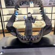 ヒメ日記 2025/10/11 19:30 投稿 ろあ 丸妻 新横浜店