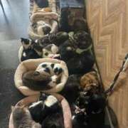 ヒメ日記 2026/02/07 12:45 投稿 せりか 千葉泡洗体デラックスエステ