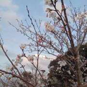 ヒメ日記 2025/04/07 23:26 投稿 ちか ぽちゃらん神栖店