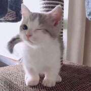 ヒメ日記 2025/06/26 16:46 投稿 ちか ぽちゃらん神栖店