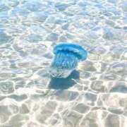 ヒメ日記 2025/09/16 14:26 投稿 ちか ぽちゃらん神栖店