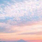 ヒメ日記 2025/09/20 17:46 投稿 ちか ぽちゃらん神栖店