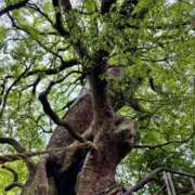 ヒメ日記 2025/10/13 11:26 投稿 ちか ぽちゃらん神栖店