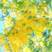 ヒメ日記 2025/11/28 10:36 投稿 ちか ぽちゃらん神栖店