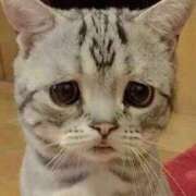 ヒメ日記 2026/01/24 00:46 投稿 ちか ぽちゃらん神栖店