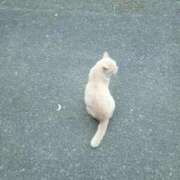 ヒメ日記 2026/06/22 15:56 投稿 ちか ぽちゃらん神栖店