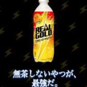 ヒメ日記 2026/06/29 11:36 投稿 ちか ぽちゃらん神栖店