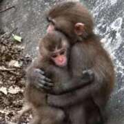 ヒメ日記 2026/08/27 21:46 投稿 ちか ぽちゃらん神栖店