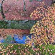 ヒメ日記 2024/12/18 12:42 投稿 しおり 京都人妻デリヘル倶楽部