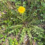 ヒメ日記 2025/04/11 12:18 投稿 しおり 京都人妻デリヘル倶楽部