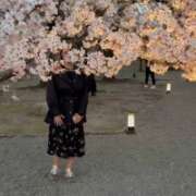 ヒメ日記 2025/04/18 12:17 投稿 しおり 京都人妻デリヘル倶楽部