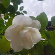 ヒメ日記 2026/04/07 20:21 投稿 しおり 京都人妻デリヘル倶楽部