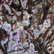 ヒメ日記 2025/03/21 22:01 投稿 かえで ハンドキャンパス新宿