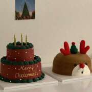 ヒメ日記 2024/12/24 12:39 投稿 高梨 MadameRest(マダムレスト)