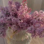 ヒメ日記 2025/01/11 16:32 投稿 高梨 MadameRest(マダムレスト)