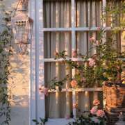 ヒメ日記 2025/03/02 23:39 投稿 高梨 MadameRest(マダムレスト)