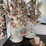 ヒメ日記 2025/04/01 23:42 投稿 高梨 MadameRest(マダムレスト)