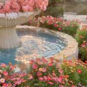 ヒメ日記 2025/04/05 13:23 投稿 高梨 MadameRest(マダムレスト)