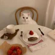 ヒメ日記 2025/04/21 15:44 投稿 高梨 MadameRest(マダムレスト)