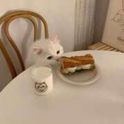 ヒメ日記 2025/05/07 16:12 投稿 高梨 MadameRest(マダムレスト)