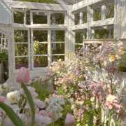 ヒメ日記 2025/07/15 05:54 投稿 高梨 MadameRest(マダムレスト)